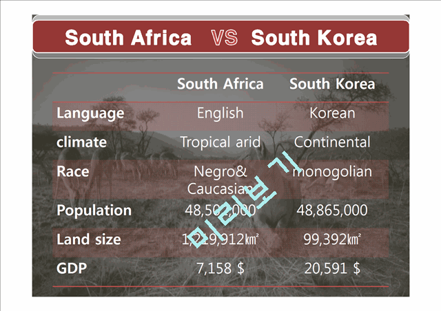 Republic of South Africa analysis   (6 )